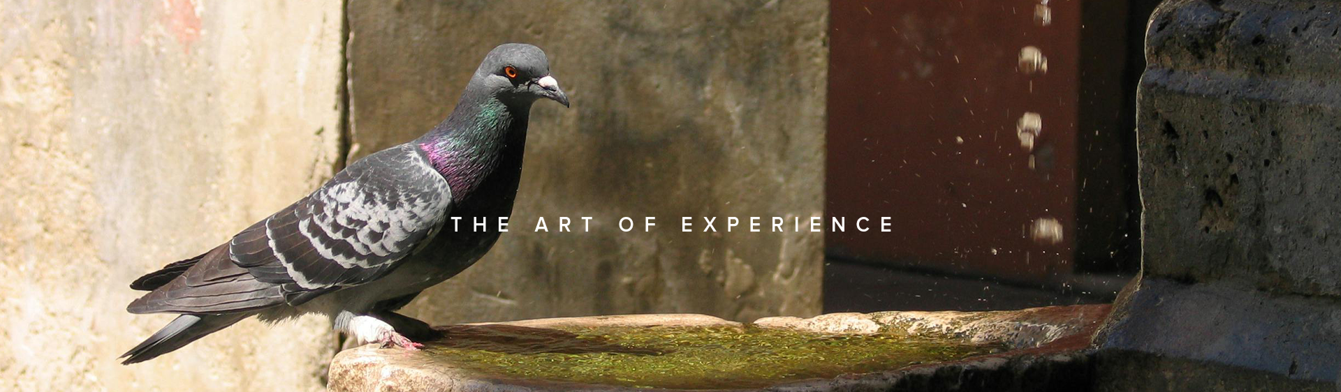 The Art of Experience